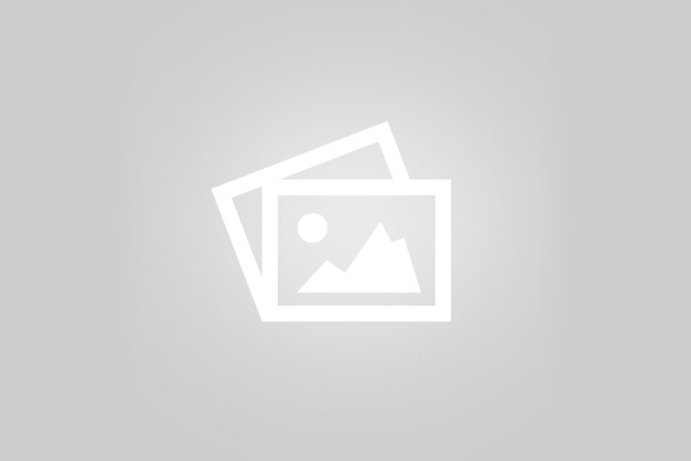 انواع خودروهای نمایشگاه چینی خودرو